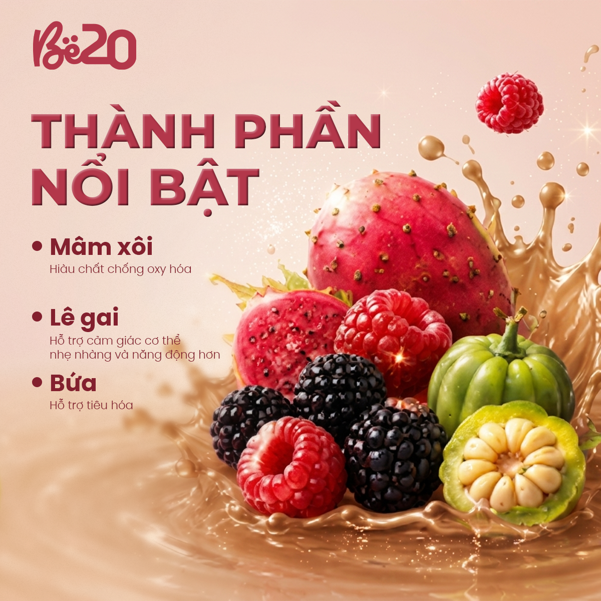 Cà phê Mâm Xôi Đen túi 10 gói